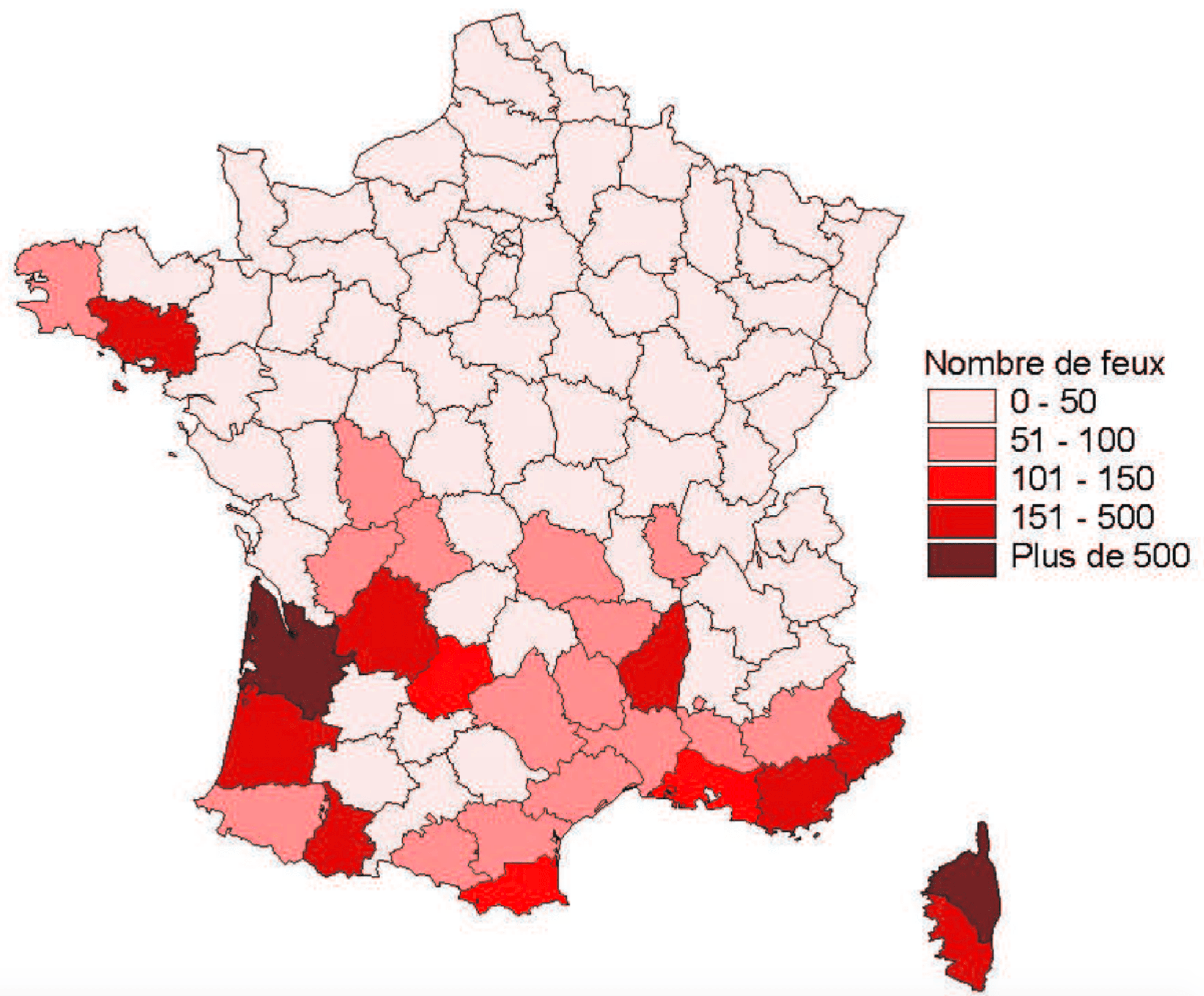 feu de foret