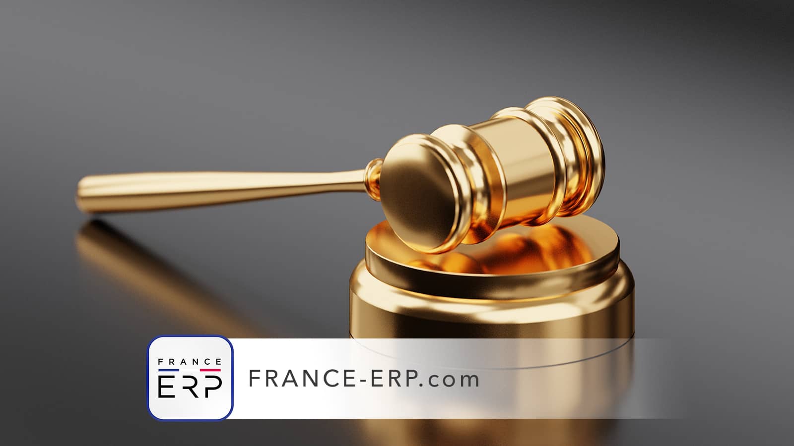 Sanctions pour un état des risques (ERP et ENSA) non fourni ou frauduleux