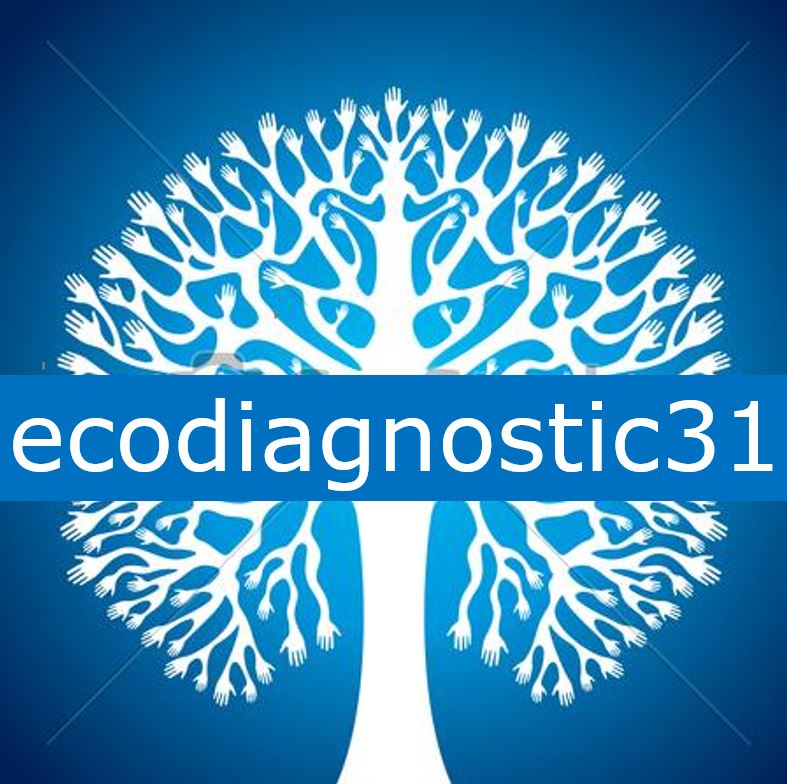 ecodiagnostic31